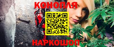 крисы Конаково