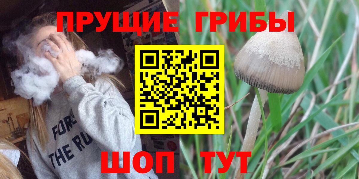 Псилоцибиновые грибы прущие грибы Невинномысск