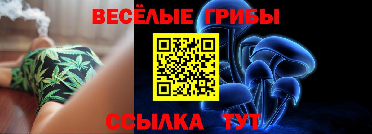 Невинномысск  магазин    Вход с VPN  Галлюциногенные грибы Cubensis  Псилоцибиновые грибы Magic Shrooms 